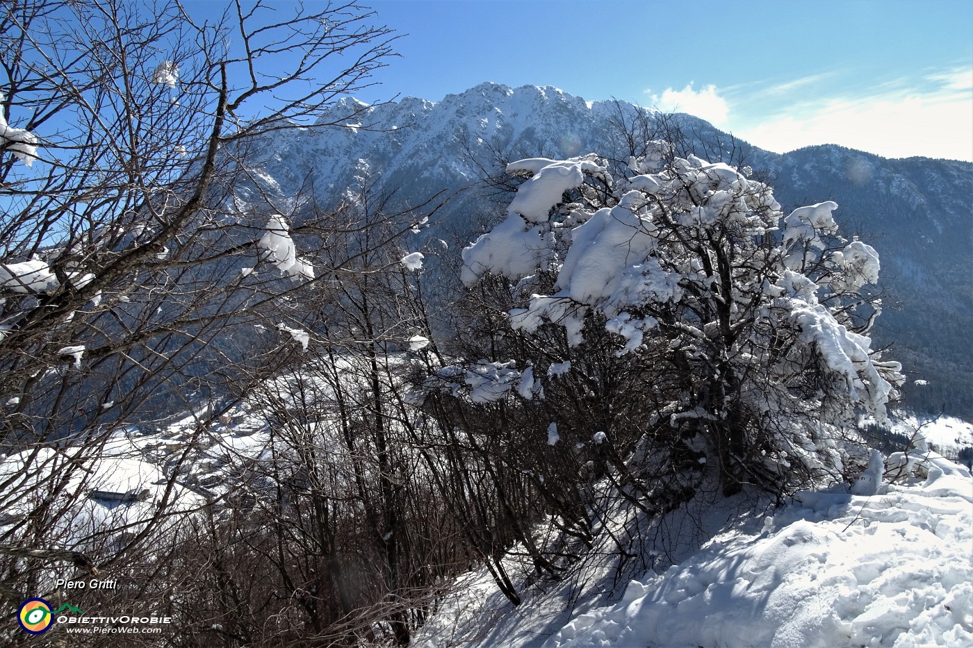 38 Vista in Alben con neve in caduta dagli alberi.JPG -                                